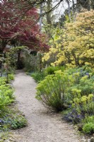 Chemin à travers le jardin de fleurs au jardin d'Enys à Cornwall début mai