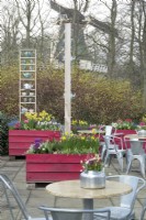 Pots en bois peints en violet remplis de jacinthes, muscari, tulipes et jonquilles. Décoration avec bouilloires et tasses sur terrasse de jardin de thé à Keukenhof.