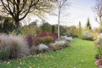 Parterre de fleurs d'octobre comprenant des graminées ornementales et des arbustes dont des asters dans le jardin de John Massey.