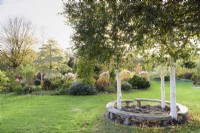 Un trio de bouleaux à tige blanche à l'intérieur d'un banc circulaire rempli d'Ophiopogon planiscapus 'Nigrescens' et de cyclamen au jardin de John Massey en octobre.