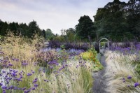 Chemin à travers Stipa tenuissima et Verbena bonariensis à Whitburgh Walled Garden en Ecosse en septembre