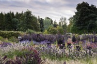 Plantation richement colorée à Whitburgh House Walled Garden en septembre, y compris Pennisetum orientale 'Tall Tails', Verbena bonariensis et Kale violet foncé 'Redbor'.
