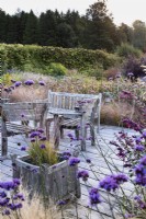 Terrasse en bois avec des jardinières en bois et des meubles entourés de plantations dont Verbena bonariensis et graminées à Whitburgh House Walled Garden en septembre.