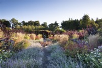 Chemin à travers la bordure de Nepeta 'Six Hills Giant' au Whitburgh Walled Garden en septembre avec plantation de graminées ornementales et de plantes herbacées vivaces.