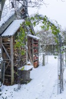 Arc de rose couvert de neige à côté d'un magasin de rondins et d'étagères en bois pour pots de fleurs en terre cuite anciens construits sur une dépendance. Décembre
