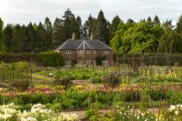 Rangées de tulipes et de narcisses colorés dans le jardin clos du château de Gordon.