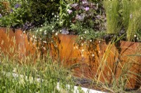 Parterre de fleurs surélevé en métal rouillé avec Erigeron karvinskianus, scabios et ajuga avec des graines d'herbe au premier plan - Fenton Gardens Ltd SubAqua - BBC Gardeners' World Live 2023, Birmingham NEC - Designer Joshua Fenton