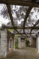 Grande pergola incurvée sur laquelle poussent abondamment des glycines et des statues dans des alcôves. Trago Mills montrent les jardins, Devon, Royaume-Uni. Peut. Printemps