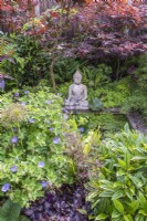 Petite piscine formelle avec nénuphars ; Bouddha en pierre et bordé d'acers, de géraniums, de plantes à feuilles persistantes et aimant l'ombre