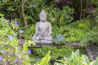 Petite piscine formelle avec nénuphars ; Bouddha en pierre et bordé d'Acers, plantes persistantes et aimant l'ombre