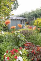 Joli cabanon dans petit jardin de banlieue à Lichfield, Staffordshire, dans le thème rouge orange et jaune, juillet