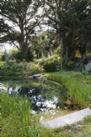 Étang de baignade naturel entouré de plantes à feuillage luxuriant à Cornwall en mai