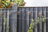 Lampes suspendues accrochées à une clôture