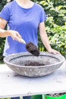 Femme plaçant du compost dans le pot peu profond