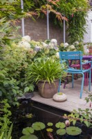 Petite piscine rectangulaire avec nénuphars située dans un patio avec supports de poteaux d'échafaudage et pots d'agapanthes et de plantes succulentes, hortensia 'Annabelle' et sièges