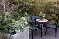 Coin salon dans le coin d'un jardin contemporain, intimité grâce à une clôture en bois et un parterre de fleurs surélevé de Brunnera panaché et d'autres plantes vivaces