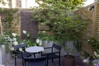 Jardin de cour avec coin salon avec parterres de fleurs surélevés et clôture en bois contemporaine avec écran métallique