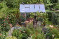 Jardin de graines à Falkners Cottage, Wiltshire en septembre avec graines de Ted Edley entourées de plantations d'orange et de violet
