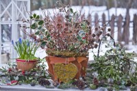Bouquet de cornouiller, saule, mélèze avec cônes et brindilles d'ilex dans un pot en écorce, décoré d'un cœur composé de brindilles de lichens.