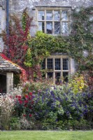 Parterres de fleurs automnaux débordants informels avec des graminées et des plantes vivaces, notamment le Dahlia « Dovegrove », le Fenouil et la Salvia « Amistad' ». Gravetye Manor Gardens