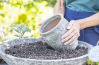 Femme plaçant le pot dans le pot de compost
