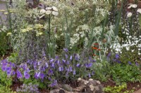 Parterre de fleurs vivaces mixtes dans 'Utile et beau', un jardin respectueux des insectes et des pollinisateurs dans la section Magnifiques parterres de fleurs du Gardener's World Live 2108