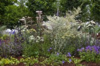 'Useful and Beautiful', un jardin respectueux des insectes et des pollinisateurs dans la section Beautiful Flowerbeds du Gardener's World Live 2108