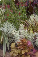 Feuillage dans 'Enveloppé dans la nature' - Magnifiques parterres de fleurs - BBC Gardener's World Live 2018