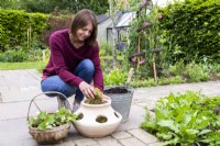 Femme plaçant de la mousse dans le planteur de fraises