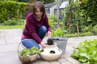 Femme plaçant du compost dans le planteur de fraises