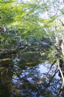 L'étang Seisen avec les arbres environnants se reflétant dans l'eau.