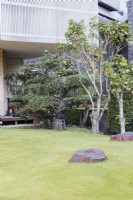 Placer des rochers dans l'herbe avec des arbres topiaires près du mur de l'hôtel.