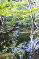 Partie de l'étang Seisen avec des arbres reflétés dans l'eau.