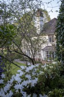 Vue de la maison aux jardins de Greencombe, Devon, jardin boisé de printemps