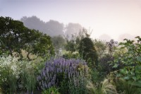 Parterre de plantes herbacées vivaces et de graminées ornementales lors d'une matinée brumeuse dans le jardin clos de Parham House en septembre