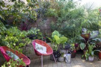 Chaises de style contemporain et exposition de plantes cultivées en pot à April House, Gloucestershire