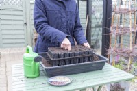 Femme faisant des trous dans le compost pour planter les petits pois