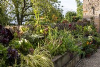 Un parterre de fleurs surélevé en bois avec des plantes grasses, des plantes annuelles et des plantes vivaces à l'entrée du jardin de Bourton House, Gloucestershire.