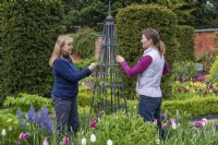 Attacher une clématite herbacée à un obélisque métallique crédits : Jardin : Westbrooke House - Propriétaire : Joanne Drew - Jardinière : Juliet Douglas