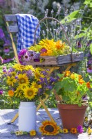 Bouquet d'été avec tournesols et fleurs sauvages dans un vase en émail, capucine cultivée en pot et trug d'herbes, fleurs médicinales et comestibles sur la chaise.