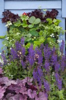 Plantation sur le thème violet dans 'Bee Inspired' - Magnifiques parterres de fleurs au BBC Gardener's World Live 2018, juin