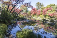Grand étang dans le jardin avec des arbres aux couleurs automnales reflétées dans l'eau.