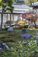 Petit jardin intérieur composé de mousse, de rochers et d'arbustes dans le complexe du temple. Vue sur le bâtiment du temple.