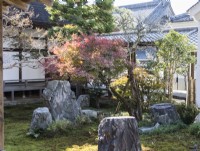 Petit jardin dans le complexe du temple avec des rochers placés et plusieurs petits arbres. Vue sur les bâtiments du temple.