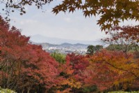 Couleurs automnales dans la plupart des arbres acer. Vue du jardin sur Arishiyama jusqu'aux montagnes lointaines.