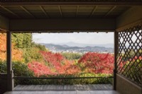 Vue sur les acers aux couleurs automnales jusqu'à Arashiyama et les montagnes lointaines, encadrées par un bâtiment en bois.