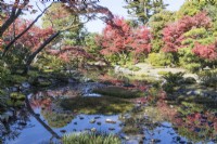 Grand étang dans le jardin avec des arbres aux couleurs automnales reflétées dans l'eau.