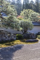 Bordure du jardin zen principal de gravier ratissé, connu sous le nom de karesansui, qui se traduit par « eau sèche de montagne ». Rochers et arbres placés et vue sur l'extérieur du garsden.