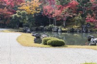 La zone de gravier ratissée, connue sous le nom de Karesansui au premier plan. Vue sur le lac jusqu'aux Acers avec des couleurs automnales.