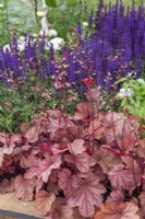 Parterre de fleurs sur le thème violet dans Bee Inspired' - Magnifiques parterres de fleurs au BBC Gardener's World Live 2018, juin
